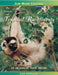 The Secrets of Tropical Rainforests: Hot and Humid and Teeming with Life by Jean Hamilton