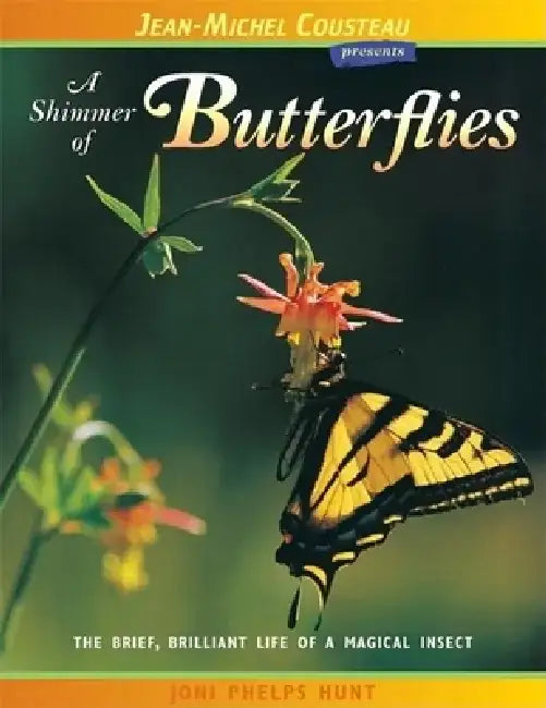 A Shimmer of Butterflies: The Brief, Brilliant Life of a Magical Insect by Joni Hunt