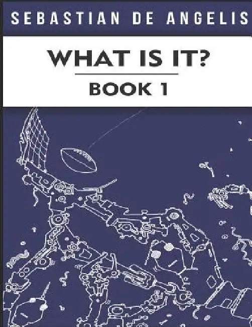What Is It Book 1: Drawings 1 to 250 by Sebastian de Angelis