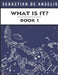 What Is It Book 1: Drawings 1 to 250 by Sebastian de Angelis