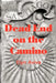 Dead End on the Camino by Elyn Aviva