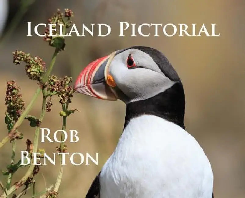 Iceland Pictorial by Rob Benton