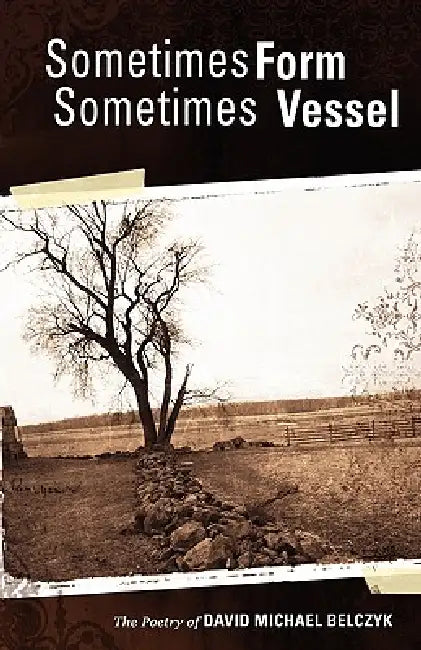 Sometimes Form Sometimes Vessel by David Michael Belczyk, Ryan Alvis