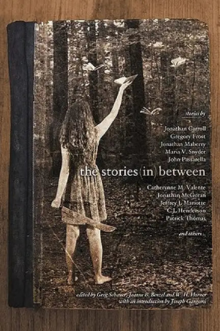 The Stories in Between: A Between Books Anthology by Greg Schauer