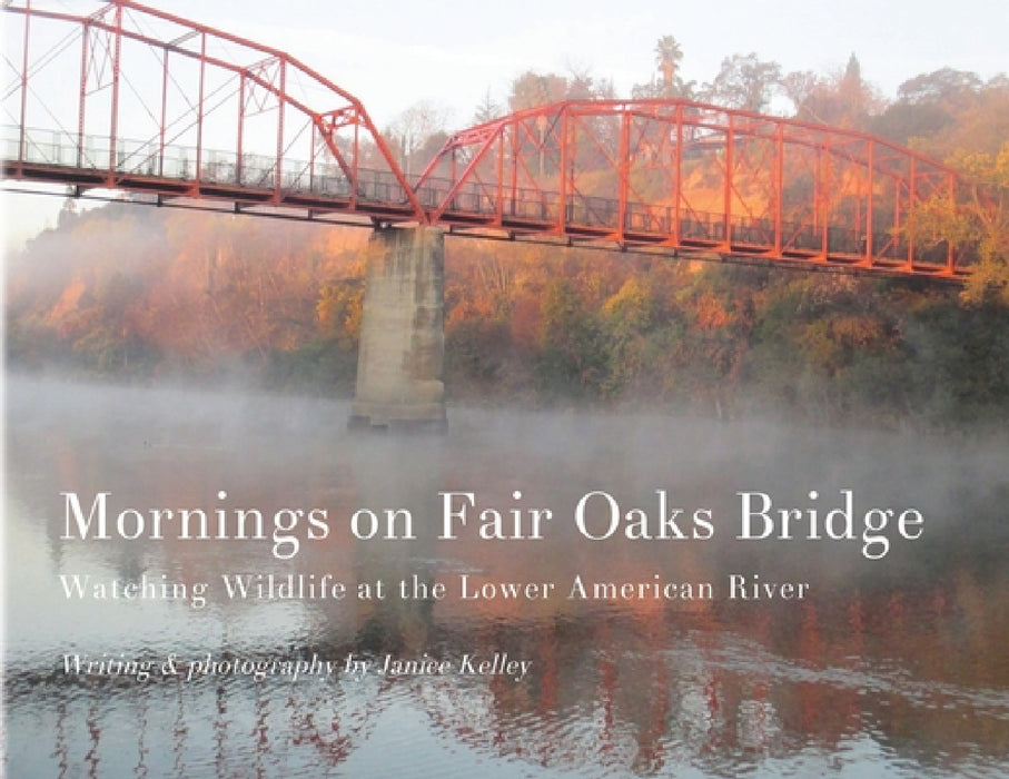 Mornings on Fair Oaks Bridge: Watching Wildlife at the Lower American River by Janice Kelley