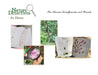 Nature Detectives at Home by Janice Kelley
