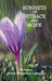 Sonnets of Setback and Hope by Judith Weinshall Liberman