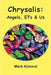 Chrysalis: Angels, ETs & Us by Mark Kimmel