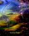 Cosmos and Consciousness: Quantum Computers, SuperStrings, Programming, Egypt, Quarks, Mind Body Problem, and Turing Machines Second Edition by Stephen Blaha