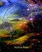 Cosmos and Consciousness: Quantum Computers, SuperStrings, Programming, Egypt, Quarks, Mind Body Problem, and Turing Machines Second Edition by Stephen Blaha