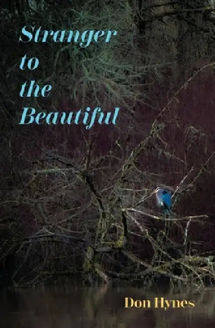 Stranger to the Beautiful by Don Hynes