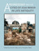Archaeology and the Cities of Late Antiquity in Asia Minor by Ortwin Dally, Christopher Ratte