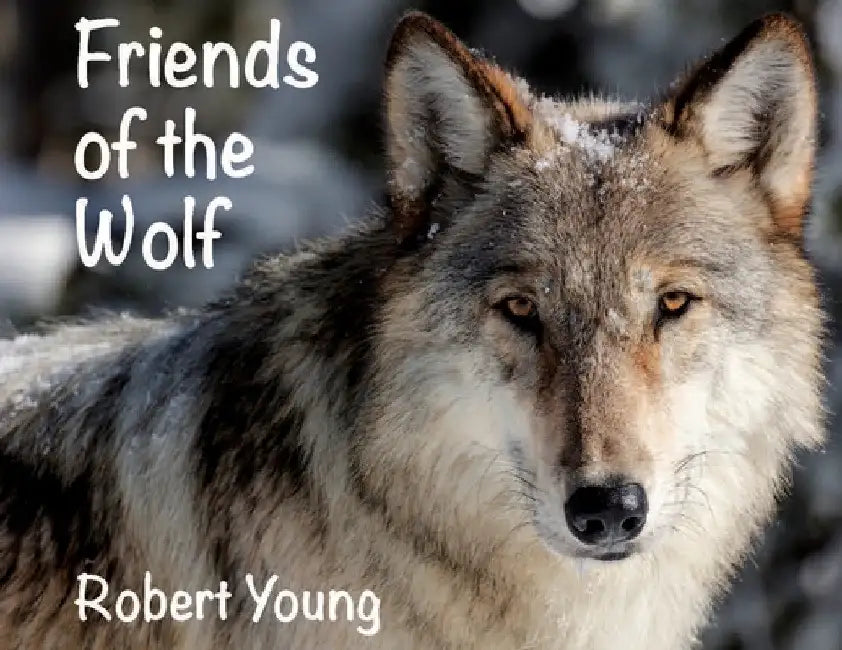 Friends of the Wolf by Robert Young