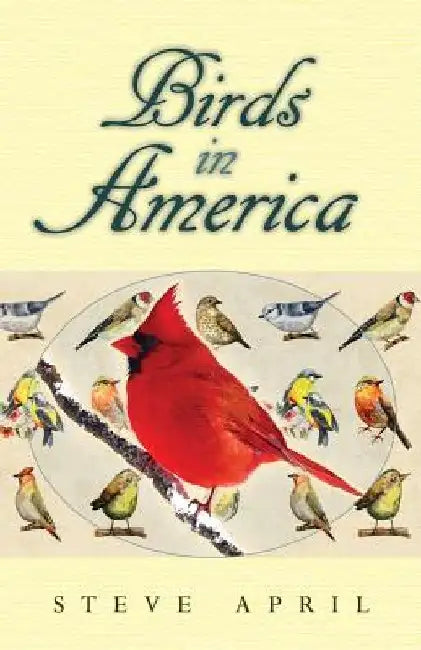 Birds In America by Steve April