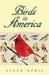 Birds In America by Steve April