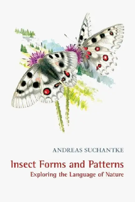 Insect Forms and Patterns Exploring the Language of Nature by Suchantke, Andreas