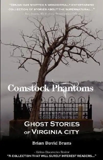 Comstock Phantoms: Ghost Stories of Virginia City by Brian David Bruns