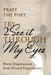 Try 2 See It Through My Eyes by Pratt The Poet