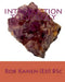 Introduction to Geology by Rob Kanen (Ed) Bsc