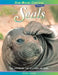 A Colony of Seals: The Captivating Life of a Deep Sea Diver by Vicki Leon