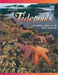 The Secrets of Tidepools: The Bright World of the Rocky Shoreline by Vicki Leon
