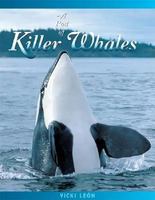 A Pod of Killer Whales: The Mysterious Life of the Intelligent Orca by Vicki Leon