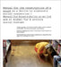 Manual for the Construction of a Sound/Manual for Konstruksjon AV En Lyd by Brandon LaBelle, Stine Hebert, Federica Bueti