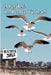 Murder in Ponte Vedra?! by Mary F. Kohnke