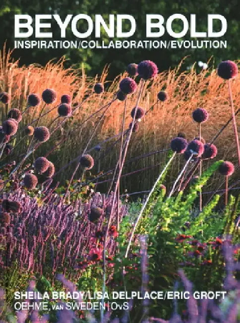 Beyond Bold: Inspiration, Collaboration, Evolution by Eric Groft