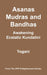 Asanas, Mudras and Bandhas - Awakening Ecstatic Kundalini by Yogani