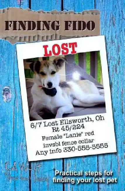 Finding Fido: Practical Steps for Finding Your Lost Pet by A. A. Weddle