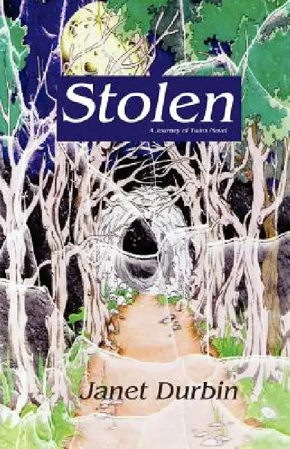 Stolen by Janet L. Durbin