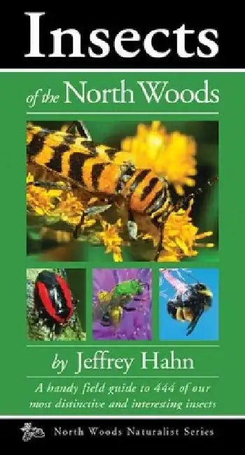 Insects of the North Woods by Jeffrey Hahn