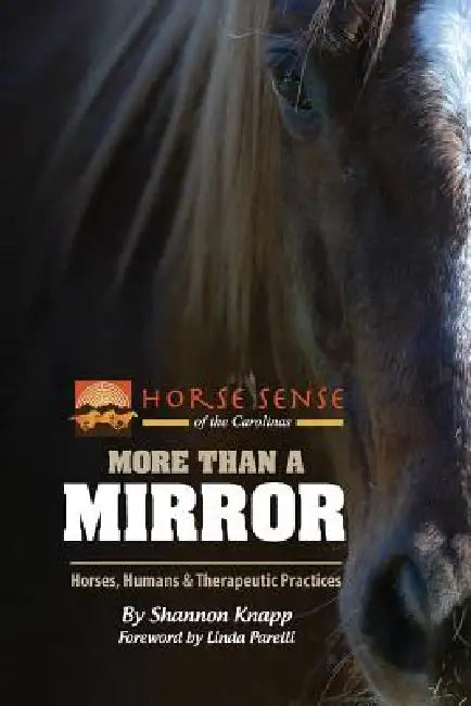 More Than a Mirror: Horses, Humans & Therapeutic Practices by Shannon C. Knapp