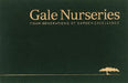Gale Nurseries: Four Generations of Garden Excellence by Adam Levine