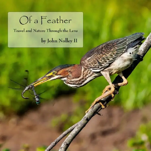 Of a Feather: Travel and Nature Through the Lens by John Nolley
