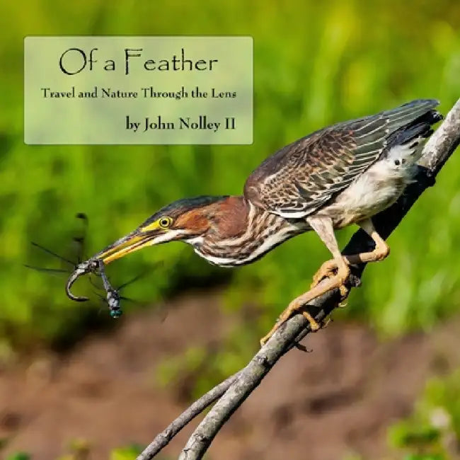 Of a Feather: Travel and Nature Through the Lens by John Nolley