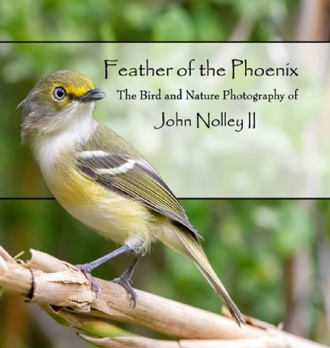 Feather of the Phoenix: The Bird and Nature Photography of John Nolley II by John Nolley