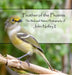 Feather of the Phoenix: The Bird and Nature Photography of John Nolley II by John Nolley