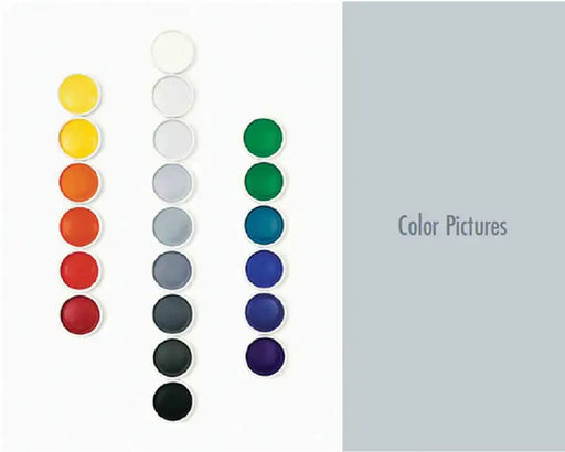 Color Pictures: March 3-April 14, 2012 by Frances Colpitt
