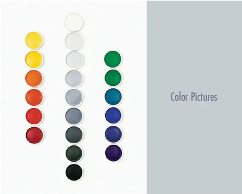Color Pictures: March 3-April 14, 2012 by Frances Colpitt
