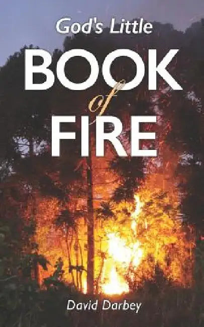 God's Little Book of Fire by David Darbey