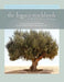 The Legacy Workbook for the Busy Woman by Rachael Freed