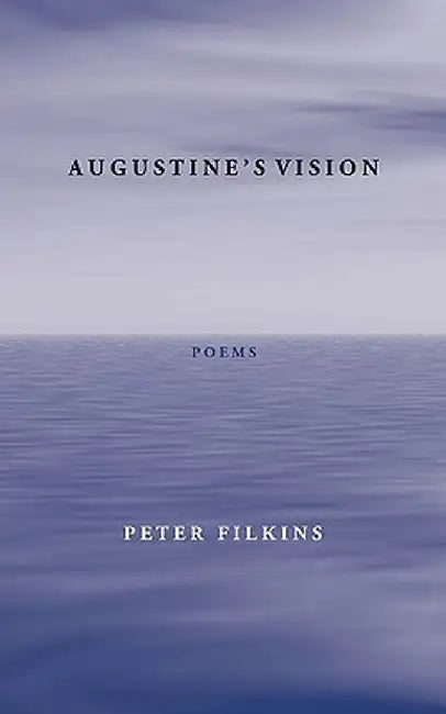 Augustine's Vision by Peter Filkins