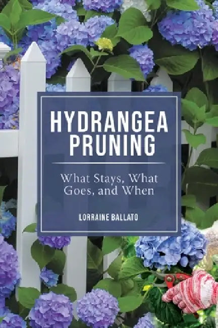 Hydrangea Pruning: What Stays, What Goes, and When by Lorraine Ballato