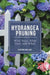 Hydrangea Pruning: What Stays, What Goes, and When by Lorraine Ballato