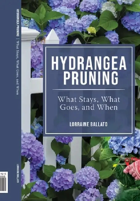 Hydrangea Pruning: What Stays, What Goes, and When by Lorraine Ballato