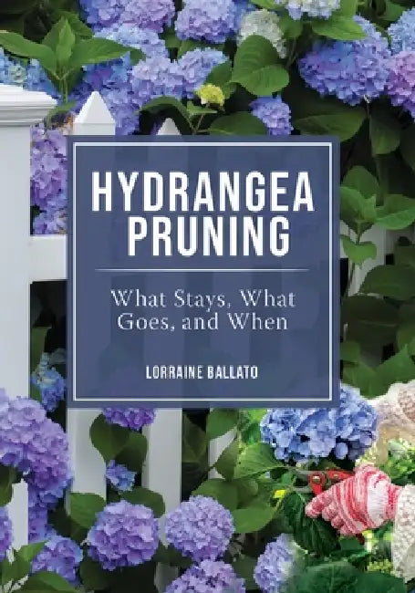Hydrangea Pruning by Lorraine Ballato