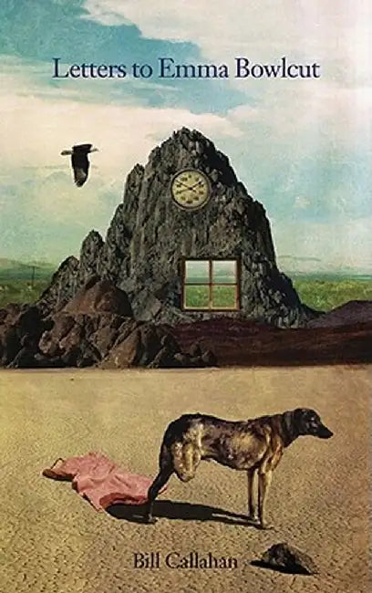 Letters to Emma Bowlcut by Bill Callahan