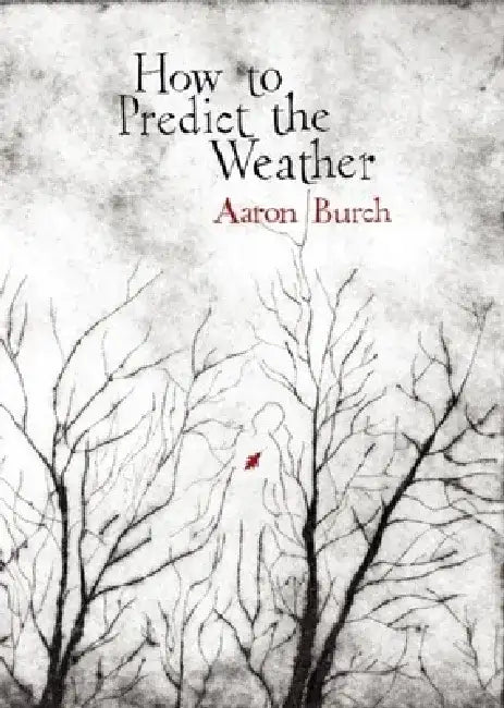How to Predict the Weather by Aaron Burch